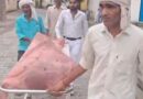 Farmer dies due to electric shock in Badaun | बदायूं में करंट से किसान की मौत: खेत से लौटते समय हाइटेंशन लाइन की चपेट में आया, 14 जुलाई को आनी है बेटी की बारात - Badaun News